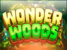 Wonder Woods